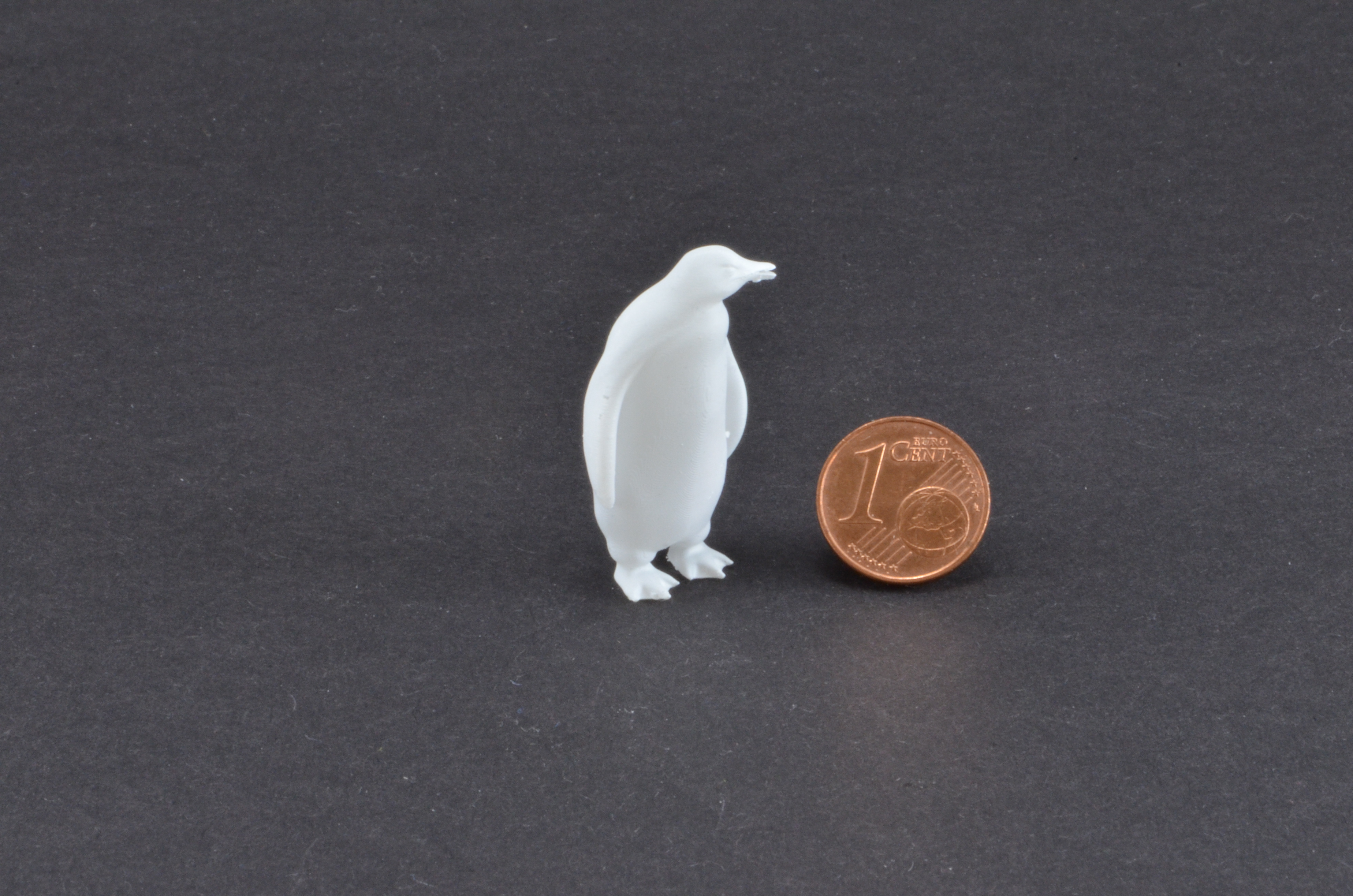 Pinguin schaut links