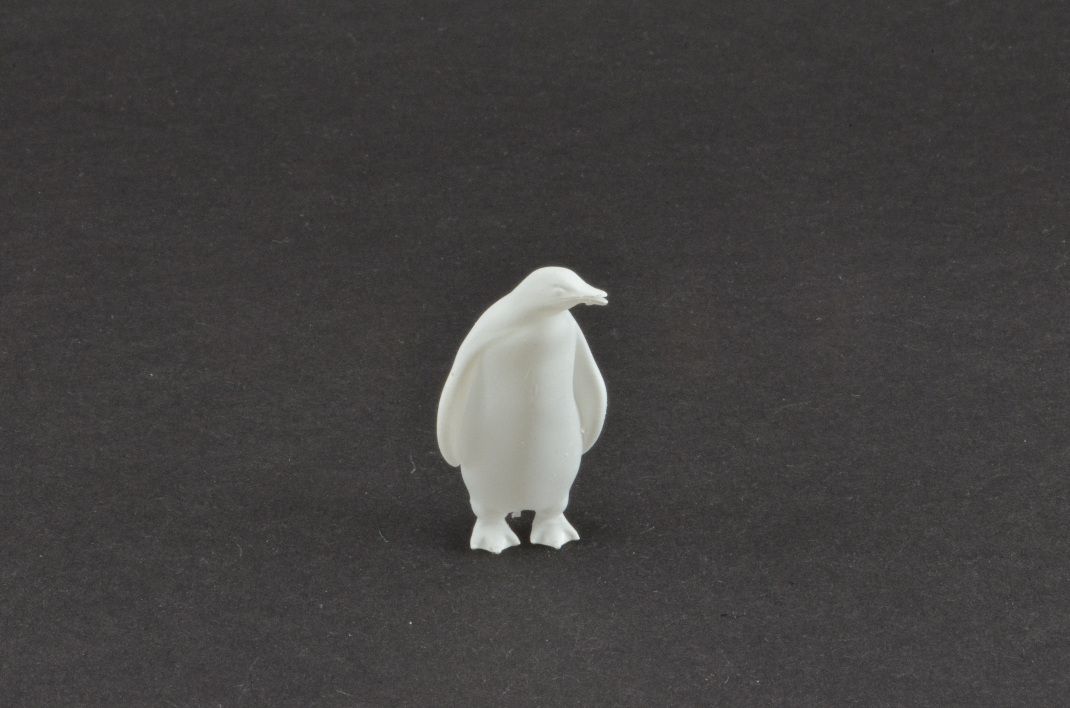 Pinguin schaut links